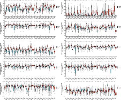 Expression, tumor immune infiltration, and prognostic impact of HMGs in gastric cancer